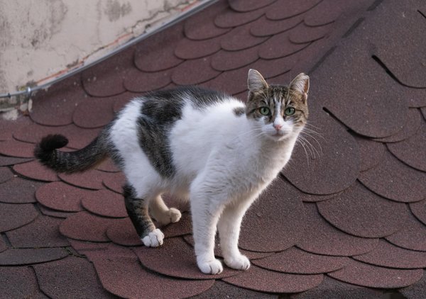 How Digital Connectivity is Reshaping Real Estate Values in the UK's Remote Areas;156Transforming Suburbs: The Impact of Remote Work on Future Real Estate Markets;156Unlocking Blockchain's Potential: Transforming Real Estate Deals with Unmatched Ef